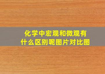 化学中宏观和微观有什么区别呢图片对比图