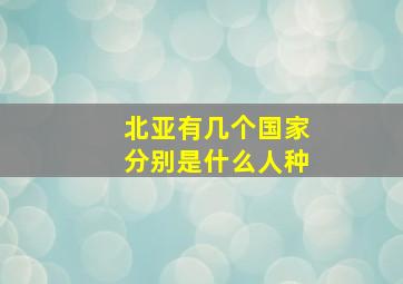 北亚有几个国家分别是什么人种