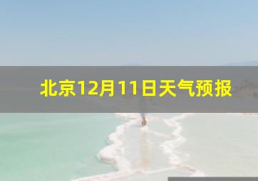 北京12月11日天气预报