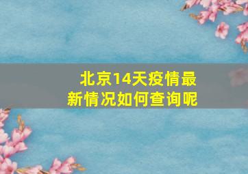 北京14天疫情最新情况如何查询呢