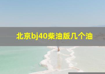 北京bj40柴油版几个油