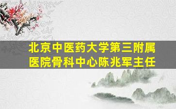 北京中医药大学第三附属医院骨科中心陈兆军主任