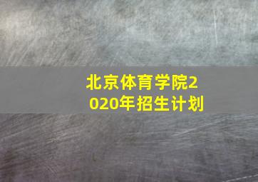 北京体育学院2020年招生计划