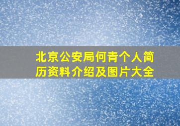 北京公安局何青个人简历资料介绍及图片大全