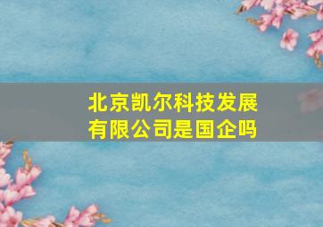 北京凯尔科技发展有限公司是国企吗