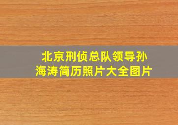 北京刑侦总队领导孙海涛简历照片大全图片