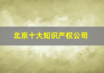 北京十大知识产权公司