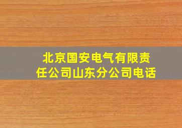 北京国安电气有限责任公司山东分公司电话