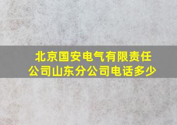 北京国安电气有限责任公司山东分公司电话多少