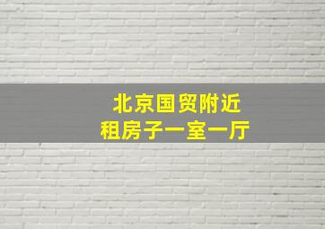 北京国贸附近租房子一室一厅