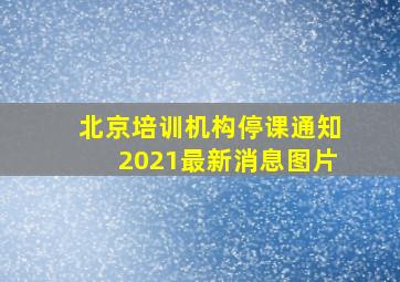 北京培训机构停课通知2021最新消息图片