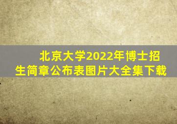 北京大学2022年博士招生简章公布表图片大全集下载