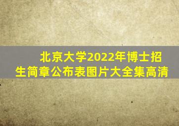 北京大学2022年博士招生简章公布表图片大全集高清