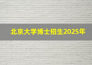 北京大学博士招生2025年