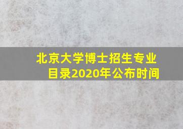 北京大学博士招生专业目录2020年公布时间