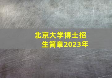 北京大学博士招生简章2023年