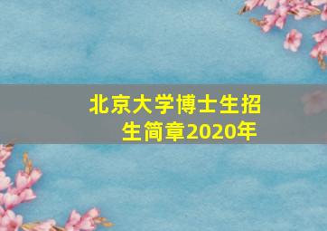 北京大学博士生招生简章2020年