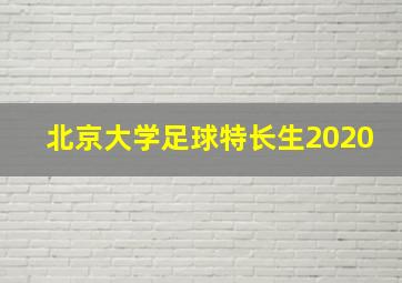 北京大学足球特长生2020