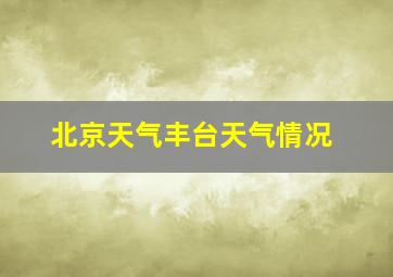 北京天气丰台天气情况