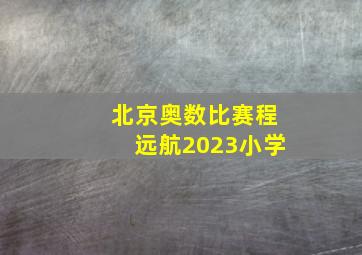 北京奥数比赛程远航2023小学