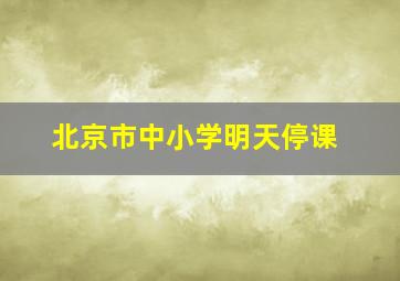 北京市中小学明天停课