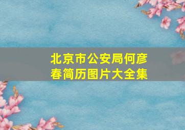 北京市公安局何彦春简历图片大全集