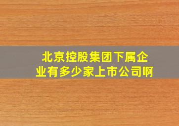 北京控股集团下属企业有多少家上市公司啊