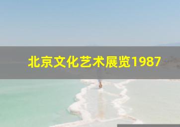 北京文化艺术展览1987