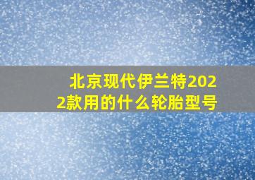 北京现代伊兰特2022款用的什么轮胎型号