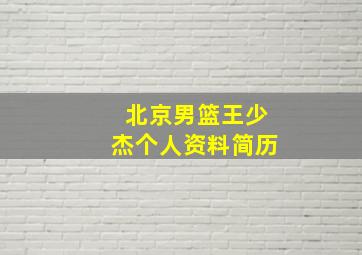 北京男篮王少杰个人资料简历