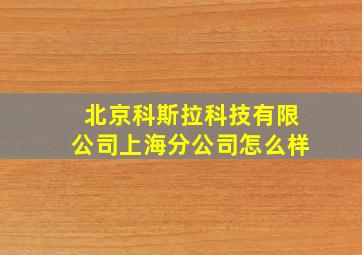 北京科斯拉科技有限公司上海分公司怎么样