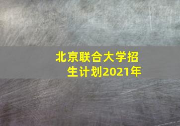 北京联合大学招生计划2021年