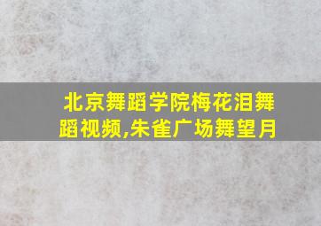 北京舞蹈学院梅花泪舞蹈视频,朱雀广场舞望月