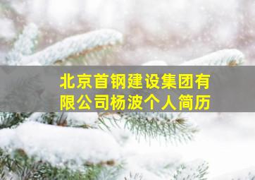 北京首钢建设集团有限公司杨波个人简历