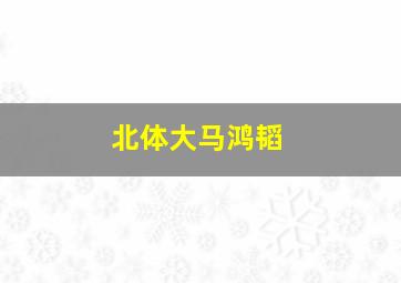 北体大马鸿韬