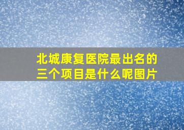 北城康复医院最出名的三个项目是什么呢图片