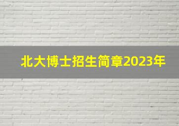 北大博士招生简章2023年