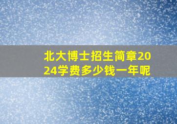 北大博士招生简章2024学费多少钱一年呢