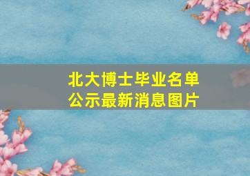 北大博士毕业名单公示最新消息图片