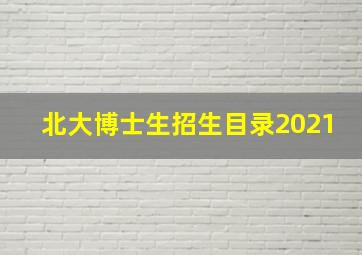 北大博士生招生目录2021