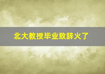 北大教授毕业致辞火了