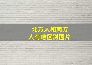 北方人和南方人有啥区别图片