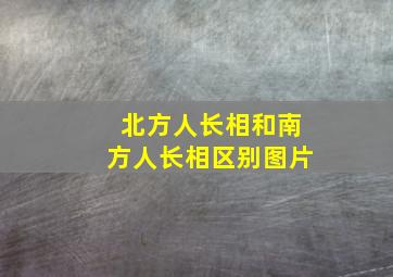 北方人长相和南方人长相区别图片