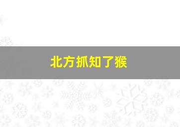 北方抓知了猴