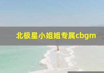 北极星小姐姐专属cbgm