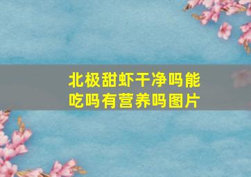 北极甜虾干净吗能吃吗有营养吗图片