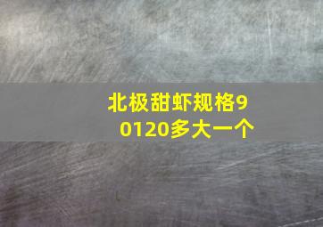 北极甜虾规格90120多大一个