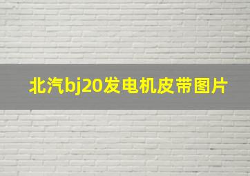 北汽bj20发电机皮带图片