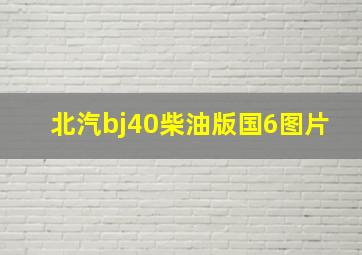 北汽bj40柴油版国6图片