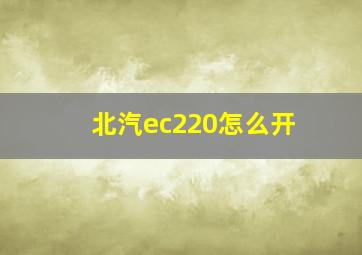 北汽ec220怎么开